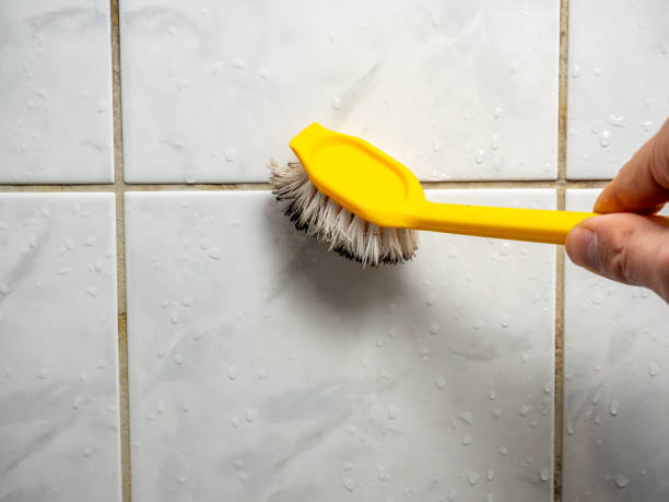 Best Water Damage Restoration  in Munford, AL