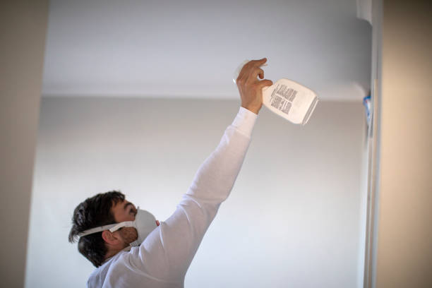 Mold Testing and Removal in Munford, AL