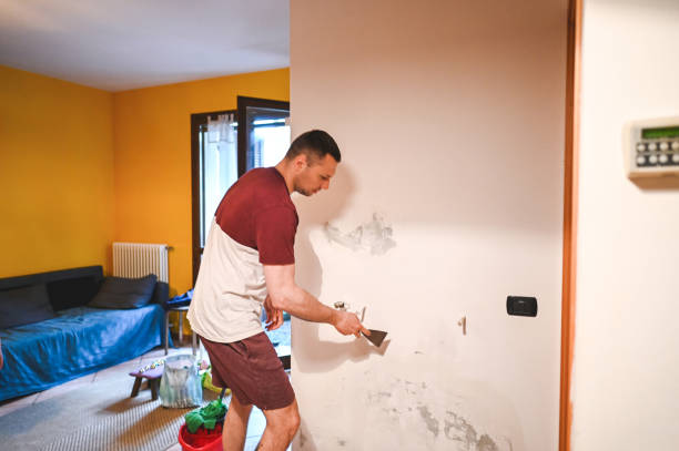 Mold Removal Process in Munford, AL