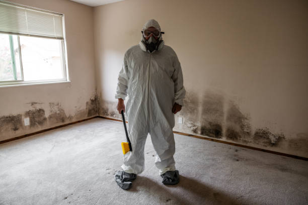 Water Damage Restoration in Munford, AL